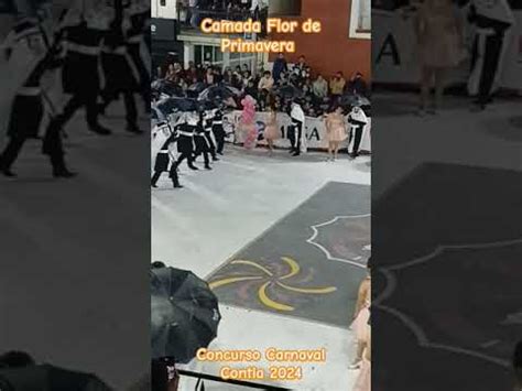 Camada Flor De Primavera Concurso De Carnaval Contla 2024 Carnaval2024