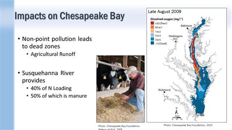 Effects Of N Loadings From Dairy Cows To The Susquehanna River Effects