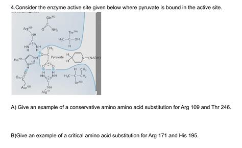 Solved 4.Consider the enzyme active site given below where | Chegg.com 