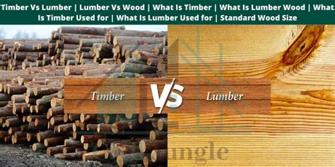 Timber Vs Lumber | Lumber Vs Wood | What Is Timber | What Is Lumber Wood | What Is Timber Used ...