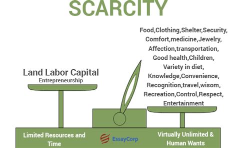 Why Is Scarcity The Fundamental Problem Of Economics