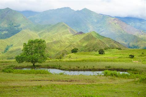 Communal Ranch: The Cinema Capital of Bukidnon – We Wander PH