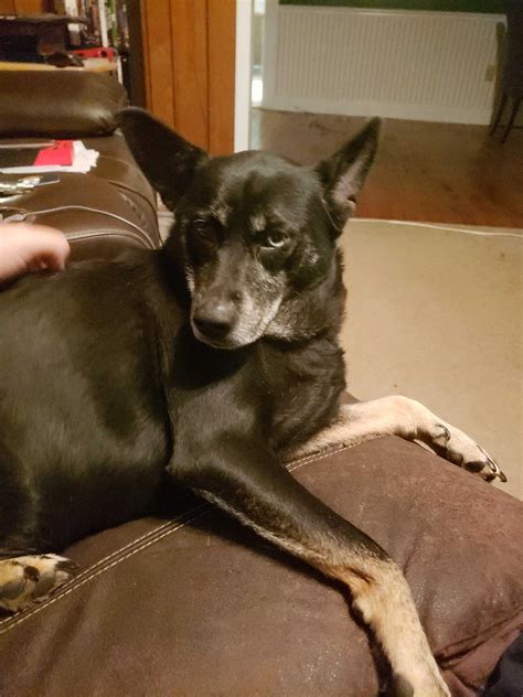 Louisville Lost and Found