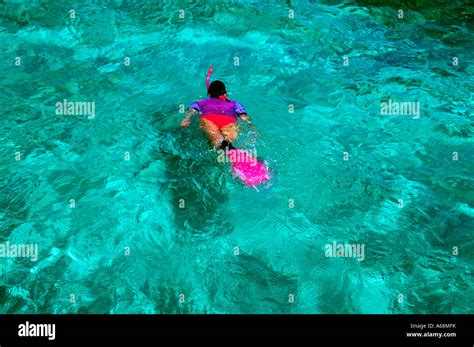 Snorkeling Ambergris Caye Belize Stock Photo - Alamy