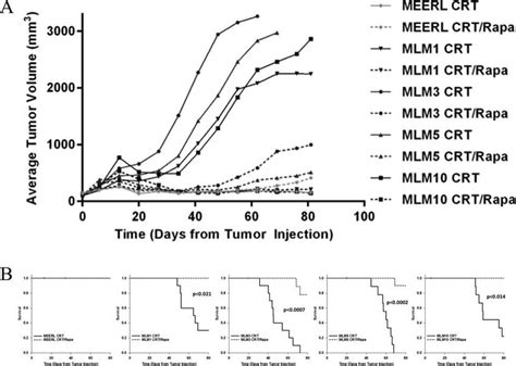 Rapamycin Re Sensitizes Recurrentmetastatic Cell Lines To Treatment In