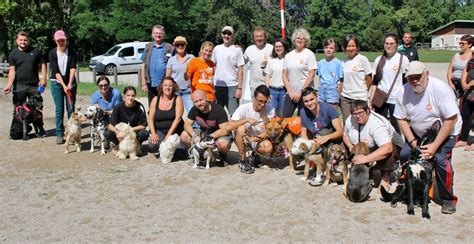 Lons Le Saunier Association Venez Adopter Et Dresser Votre Chien Aux