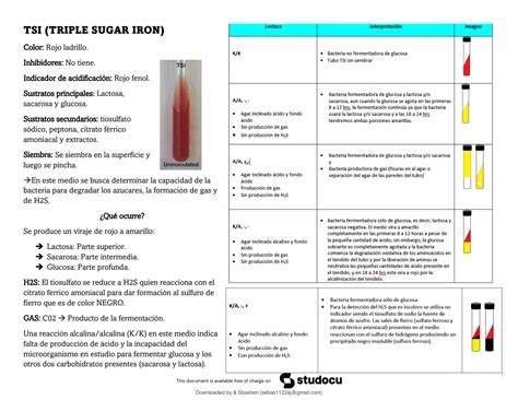 Solution Baterias Bioquimicas De Microbiologia Para Deteccion De