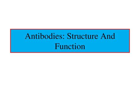 PPT - Antibodies: Structure And Function PowerPoint Presentation, free download - ID:4168573