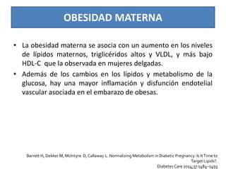 Dislipidemia Y Embarazo Ppt Descarga Gratuita