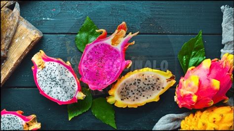 La fruta del Dragón Por qué se le conoce así a la Pitahaya