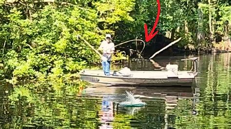 Big Bluegill And Shellcracker Catch Cook River Fishing Using A Cane