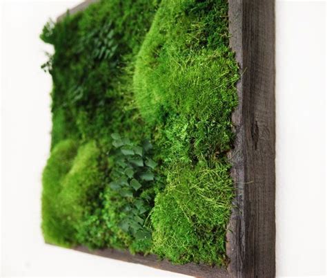 Artisan Moss 14x14 Plant Painting No Care Green Moss Wall Art Real