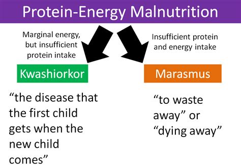 2 28 Protein Energy Malnutrition Nutrition Flexbook