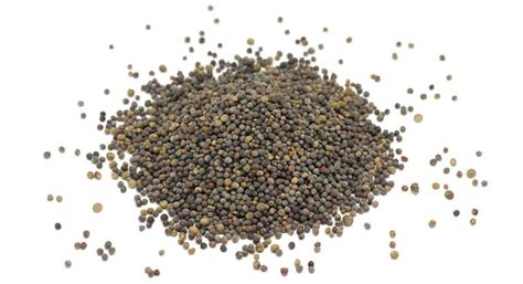 Rapeseed Protein - Vegproteins