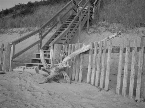 Wellfleet Ma Wellfleet Favorite Places Places