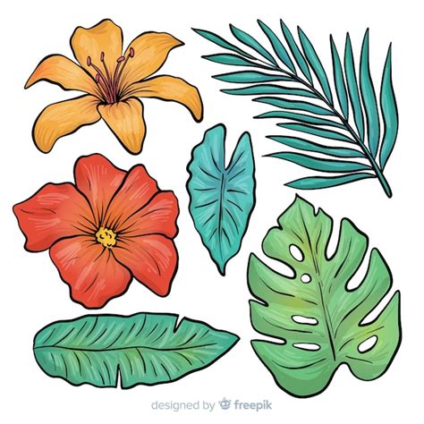 Hojas Y Flores Tropicales Dibujado A Mano Vector Gratis