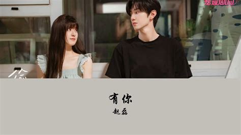 Ost Hidden Love I Have You Zhao Lei Hanzi Pinyin