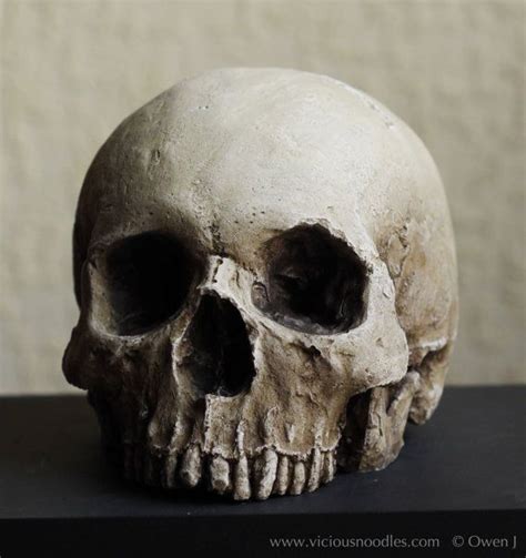 HUMAN SKULL REPLICA natural Full Size Realistic Skull Replica Made From ...