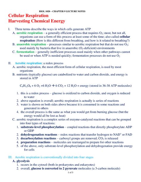 Cellular Respiration Lecture Notes 3 Cellular Respiration