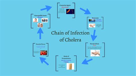 Cholera Transmission Diagram