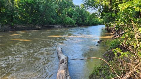 Mudlarking In Oklahoma Exploring Ancient History Beneath Our Feet