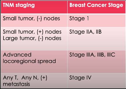 21 Breast Cancer Flashcards Quizlet