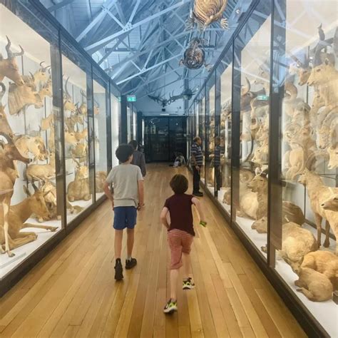 natural history museum  tring  oxplorers