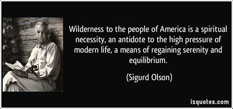 Religious Quotes Wilderness Quotesgram