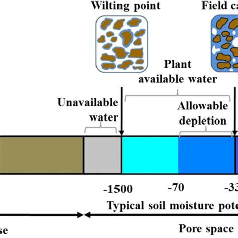 Overview Of Soil Moisture Storage Conceptual Model Allowable Depletion