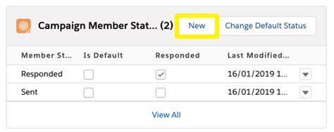 Tips For Working With Salesforce Campaign Member Status Salesforce Ben