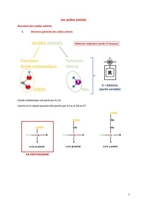 Biochimie Les acides aminés Les acides aminés Structure des acides