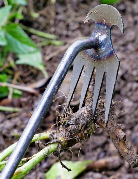 New Weeding Artifact Uprooting Weeding Tool Review 1