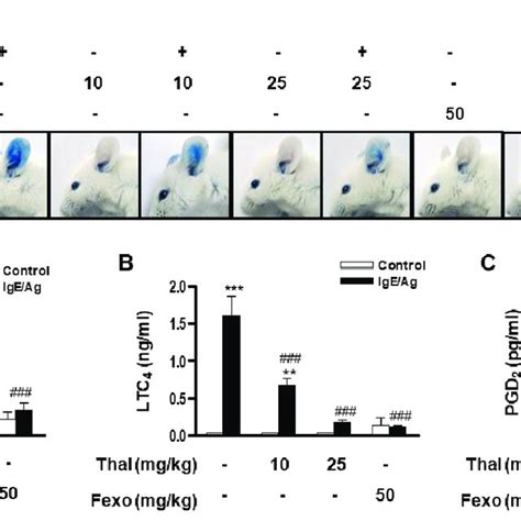 Thalidomide Ameliorates IgE Ag Mediated PCA Reaction In Mice Mice Were