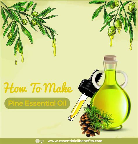 how to make essential oils 6