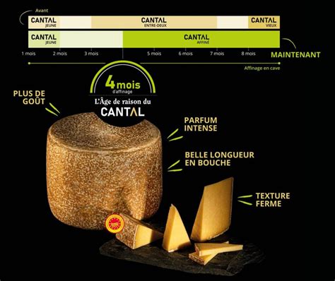 Cantal Aop Affinage Mois