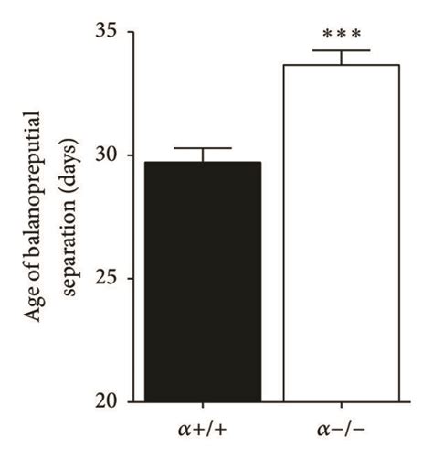 Delayed Puberty Onset In Male α−− Mice Ap2 Crep110αflxflx Are