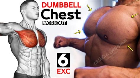 🟠 Exercise Chest Workout Dumbbells Only Youtube