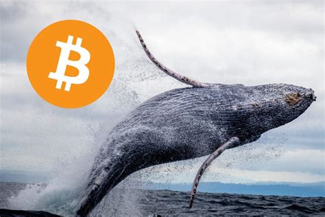 Bitcoin Whale Verkoopt Met 95 Miljoen Winst