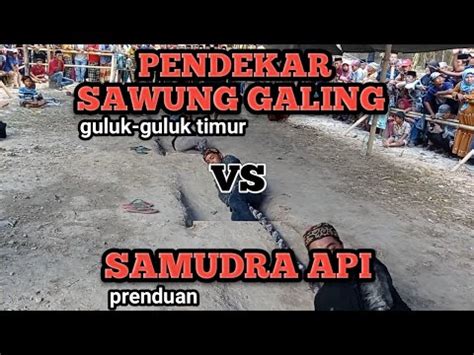 Full B Pendekar Sawung Galing Vs Samudra Api Lomba Tarik Tambang Hut