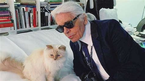 Fact Check Is Karl Lagerfeld Cat Choupette Still Alive