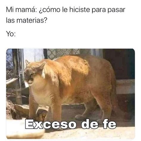 Mi Mamá ¿cómo Le Hiciste Para Pasar Las Materias Yo Exceso De Fe