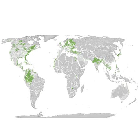 Osprey - Range map: Pre-breeding migration - eBird Status and Trends