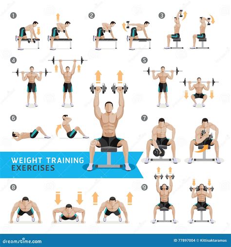 Dumbbell Exercises and Workouts Weight Training. Stock Vector ...