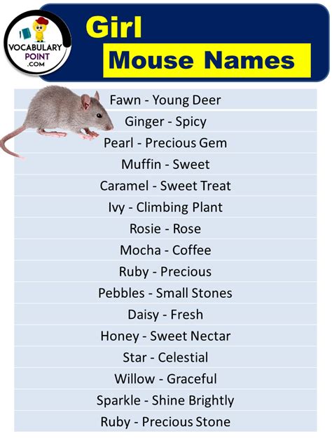 Best Mouse Names Cool Cute Funny Vocabulary Point