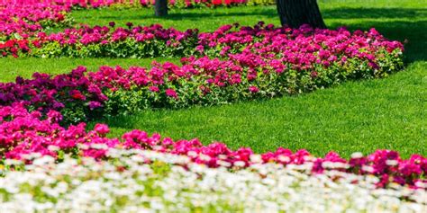 Astuces jardin La méthode inratable pour faire un massif de fleurs