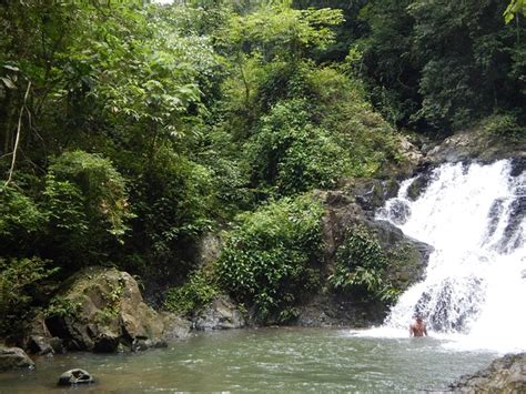 Full Day Embera Village Culture Tour Explore Indigenous History Near