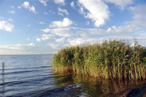 Stettiner Haff bei Ueckermünde Stock Photo Adobe Stock