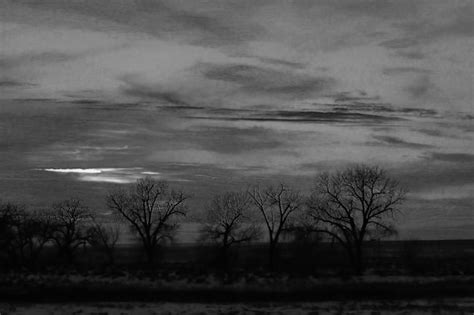 Premium Photo Bare Trees On Landscape