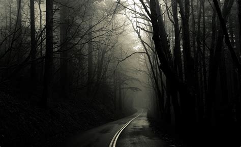 Dark Road Forest Wallpaper HD 1080P