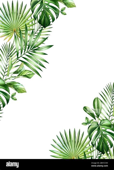 Watercolor Tropical Background Vertical Frame With Palm And Monstera